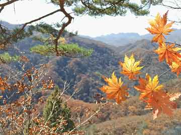三原县计生委最新招聘信息与动态概览